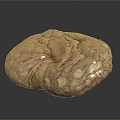 Stone Rock Stone Stone Appreciation Stone Strange Stone Ore Realistic 3d model