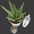 Aloe Vera Bonsai in White Woven Pot with White Watering Can and Blue Gold Cups
