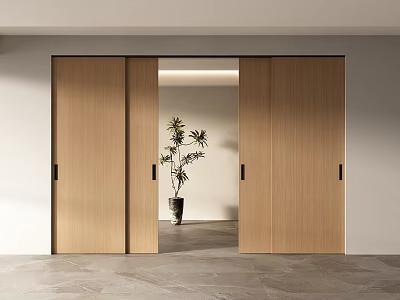 Wooden Sliding Doors Modern Interior Design With Open Space And Potted Plant 3d model