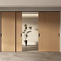 Wooden Sliding Doors Modern Interior Design With Open Space And Potted Plant