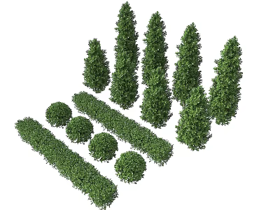 Various Types of Green Shrubs Including Conical Round and Hedge Shapes for Landscaping 3d model