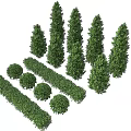 Various Types of Green Shrubs Including Conical Round and Hedge Shapes for Landscaping