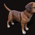 Portrait of a Brown Dog with White Chest and Floppy Ears Against Black Background