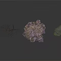 Three Different Plants Featuring Bare Tree Purple Flowering Bush And Green Leafy Tree