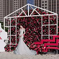 Romantic Outdoor Photo Check-in Spot With Rose Covered Wall White Frame And Red Bench