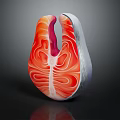 Fresh Salmon Fillet Cross Section Showing Detailed Inner Texture And Pink Color