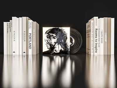 Diverse Books Collection With Vinyl Record And Art Economics Themes 3d model