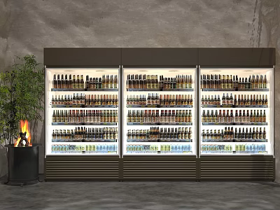 Well Lit Glass Door Display Freezers With Multiple Shelves For Beverage Storage 3d model