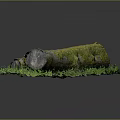 Natural Wooden Log With Green Moss And Fresh Grass On Dark Background