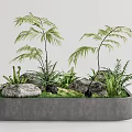 Courtyard Garden Design With Concrete Planter Palm Plants Ferns Stones And Grass