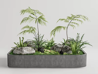 Courtyard Garden Design With Concrete Planter Palm Plants Ferns Stones And Grass 3d model