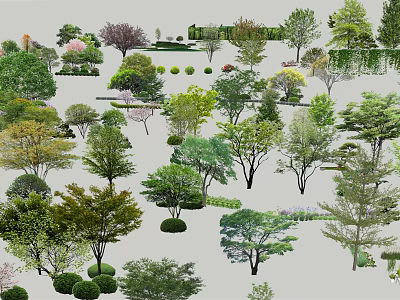 Various Types Of Garden Trees With Different Shapes And Foliage For Landscaping 3d model