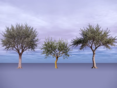 Three Leafy Trees Standing Against Purple Sky And Ground Background 3d model