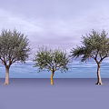 Three Leafy Trees Standing Against Purple Sky And Ground Background