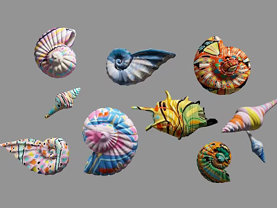 Colorful Seashell Decorative Ornament Set with Various Shapes for Home Decor Accents 3d model