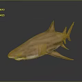 Realistic Copper Shark 3D Model on Gray Background with Reflection 3d model