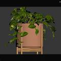 Decorative Indoor Green Plant with White Spotted Leaves in Pink Pot on Wooden Stand