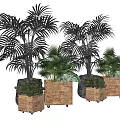 Potted Palm Plants With Wooden Stone Decorated Pots And Wheeled Bases
