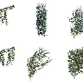 Decorative Vines with Green Leaves and Purple Flowers in Hanging Climbing Shapes