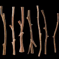 Natural Dry Brown Branches Scattered On Green Background For Decorative
