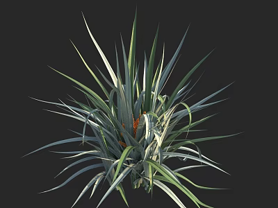 Vibrant Plant With Slender Green And White Striped Leaves And Orange Center 3d model