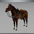 Realistic Brown Horse With Saddle And Bridle Standing On Dark Background