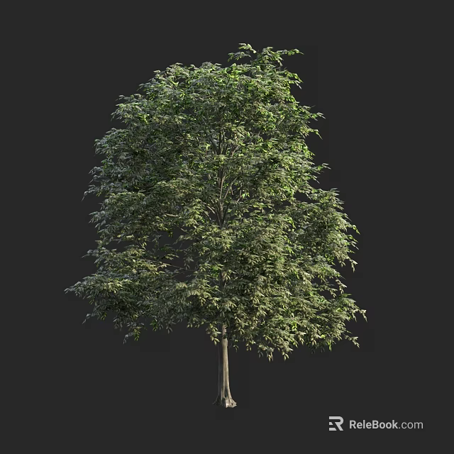 Lush Arbor With Dense Green Leaves And Strong Trunk In Natural Scene 3d model 