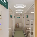 Beauty Hair Salon Corridor With Green Signs Plant Paintings Glass Doors And Round Ceiling Lights