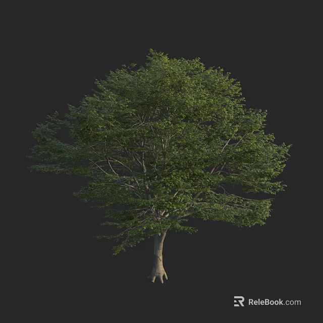 Arbor With Lush Green Leaves And Natural Trunk In Outdoor Space 3d model 