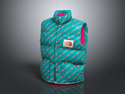 Turquoise Striped Puffer Vest With Brand Label And Pink Lining Details 3d model