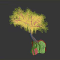 Lush Green Leafy Tree With Hanging Vines And Exposed Roots On Gray Rock