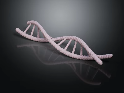 Medical Device DNA Double Helix Molecular Structure Model for Laboratory Research Use 3d model
