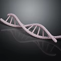 Modern DNA Helix Science 3d model