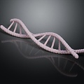 Modern DNA Helix Science 3d model