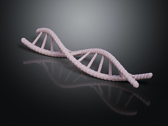 Modern DNA Helix Science 3d model