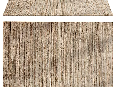 Natural Fiber Square Rug With Woven Texture And Neutral Beige Brown Tones For Living Room 3d model