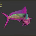 Vibrant Green And Yellow Mahi Mahi Fish With Open Mouth Blue Fins Dark Background Reflection