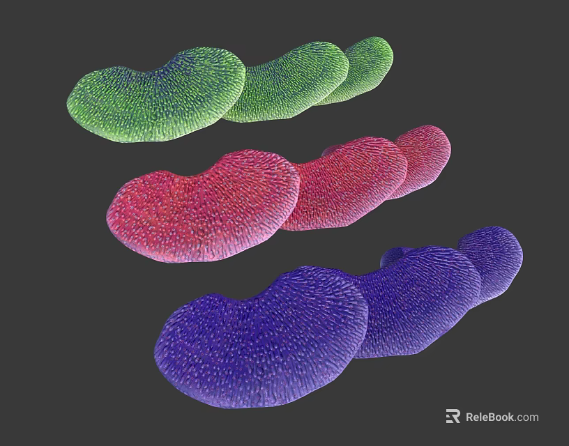 Colorful Bean Shaped Paramecium Animals With Green Red Purple Ciliated Bodies 3d model 