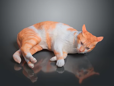 Orange and white cat lying down with reflection on dark surface 3d model
