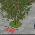 Leafy Pomegranate Tree On Square Paved Ground With Green Lawn Circle And Person Standing