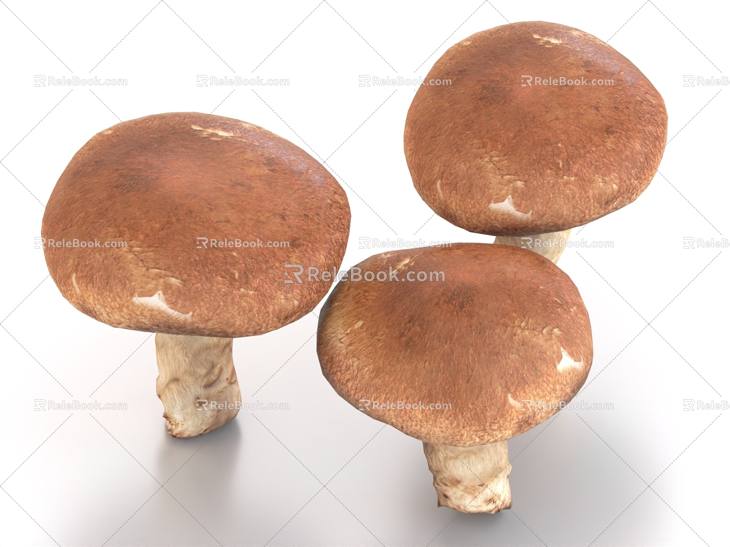 Shiitake mushroom food 3d model