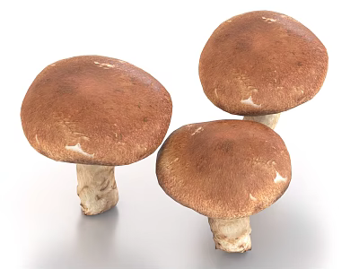 Fresh Healthy Three Brown Cap Mushrooms With White Stems And Organic Vegetables 3d model