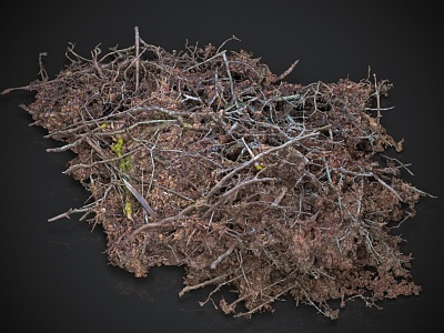 Wood branches and leaves piled up 3d model