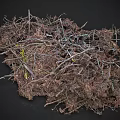 Wood branches and leaves piled up 3d model