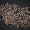 Wood branches and leaves piled up 3d model