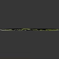 Lush Green Compound Leaf Plant Organ With Feathery Leaflets On Dark Background