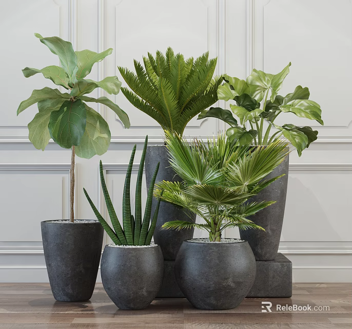Indoor Potted Green Plants With Various Types In Gray Ceramic Pots 3d model