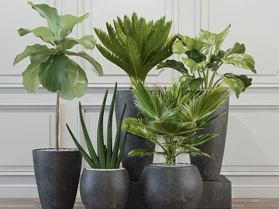 Indoor Potted Green Plants With Various Types In Gray Ceramic Pots 3d model