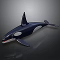 Orca Model Showcasing Black And White Markings With Tall Dorsal Fin
