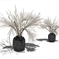 Two Black Woven Vases With Dried Grasses For Minimalist Home Decor